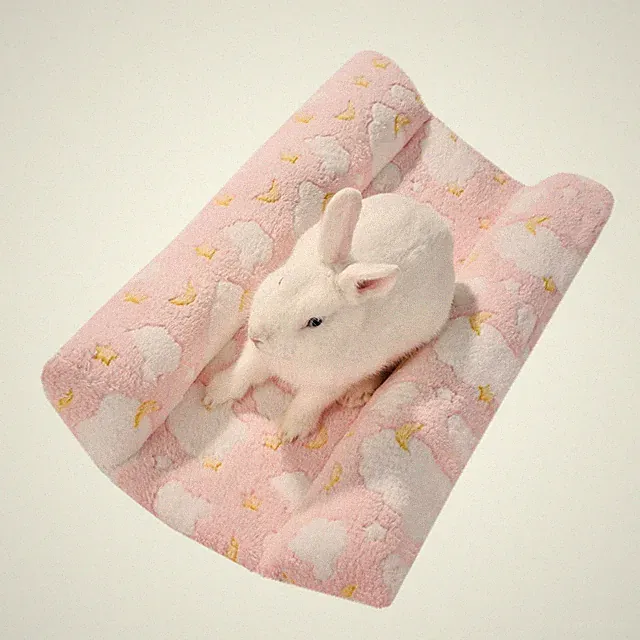 24x16 in Rabbit Bed Large Size - Warm & Comfortable Plush Rabbit Mat Pad with...