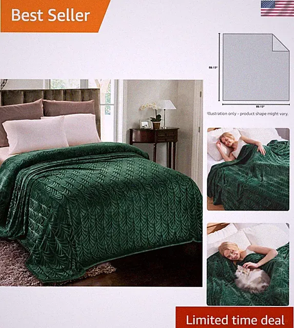 Queen Size Fleece Blanket Soft Fluffy Velvet Bedspread Coverlet Cozy Warm Lig...