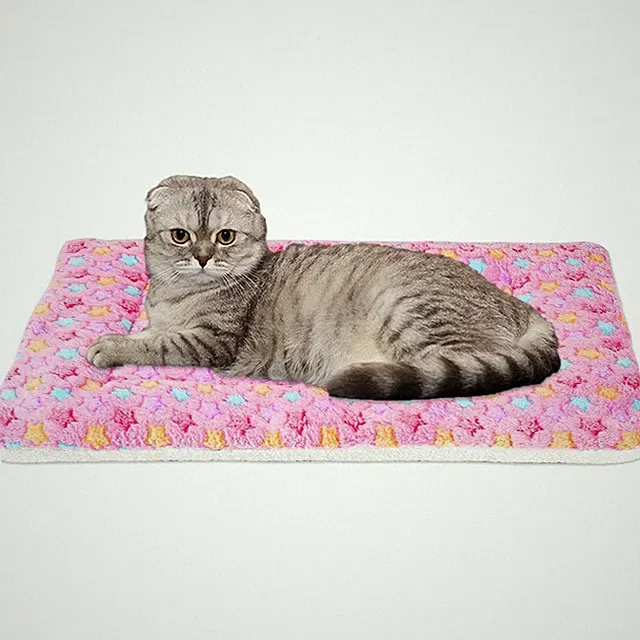 Reversible Washable Fleece Cat Bed & Small Dog Crate Pad 14x17.5in Pink