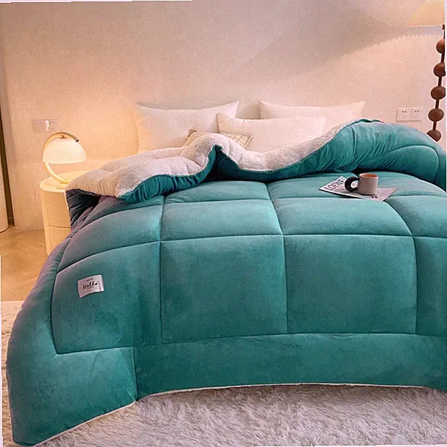 🔥Seasonal Clearance Fleece Comforter Fuzzy Sherpa Comforter for Winter Autumn